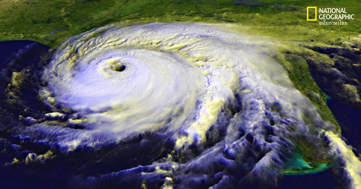 เฮอร์ริเคน พายุหมุนเขตร้อน