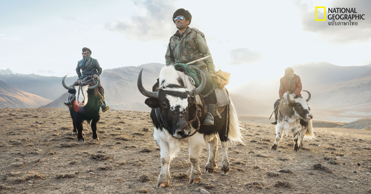 บนเส้นทางแห่งกาลเวลาในอัฟกานิสถาน