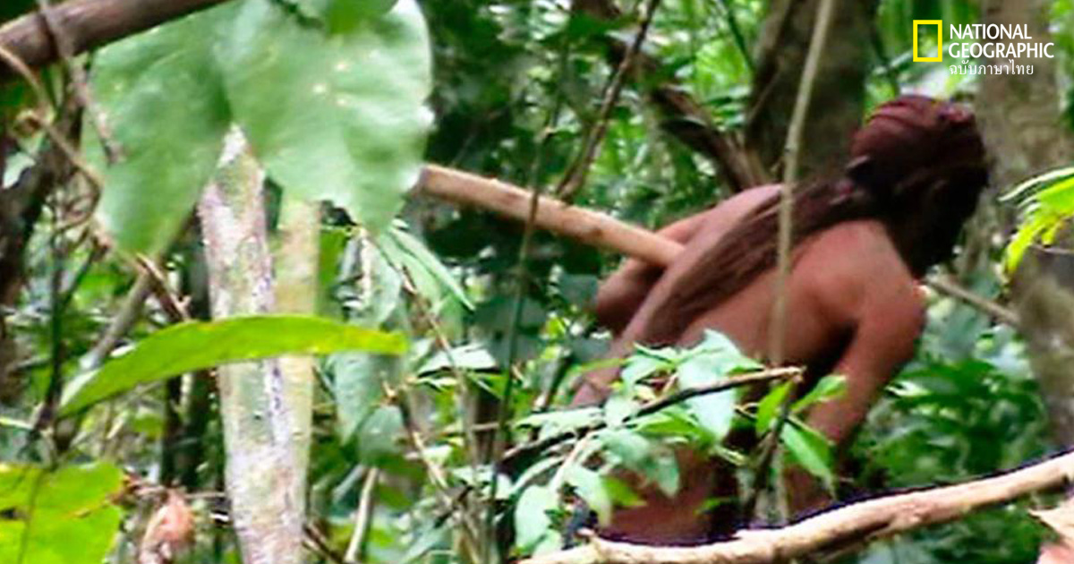 ชนเผ่าในบราซิล