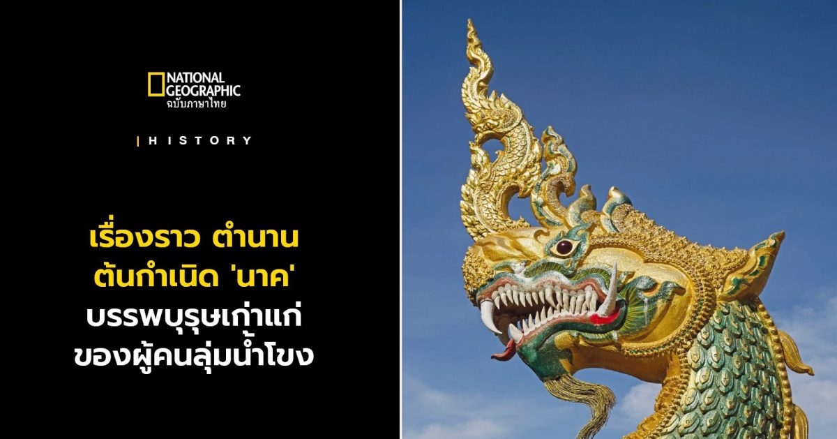 นาค มาจากไหน ต้นกำเนิดตำนานนาค บรรพบุรุษแห่งลุ่มน้ำโขง