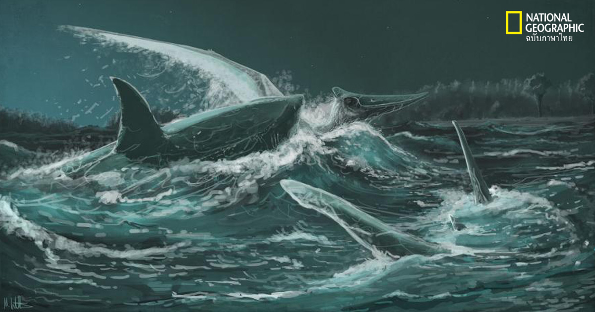 ฉลามโบราณล่าเทอโรซอร์เป็นอาหาร