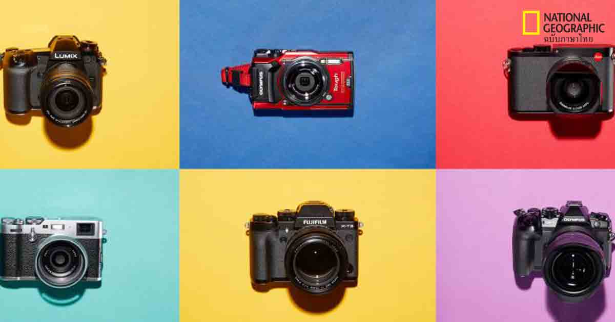 กล้องคอมแพค