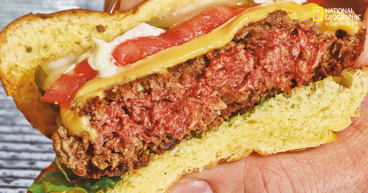 รายการอาหารแห่งอนาคต