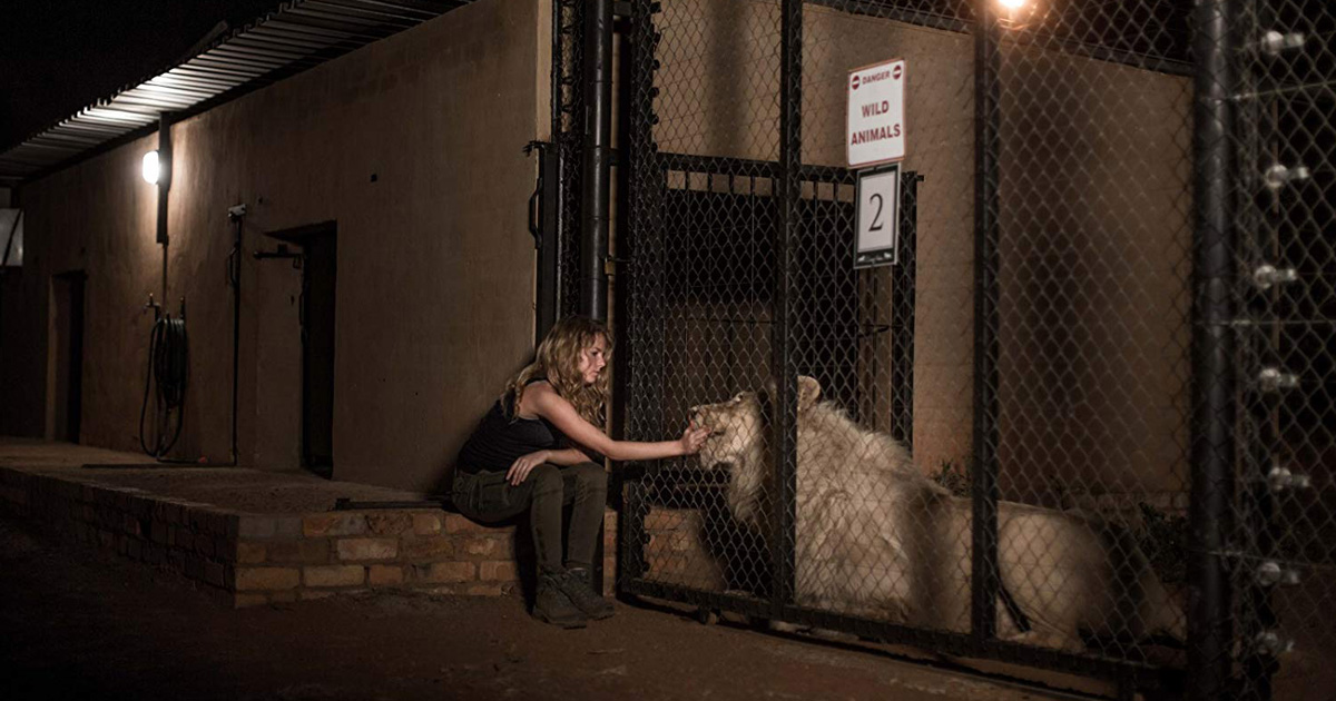 อนุรักษ์สัตว์ป่า