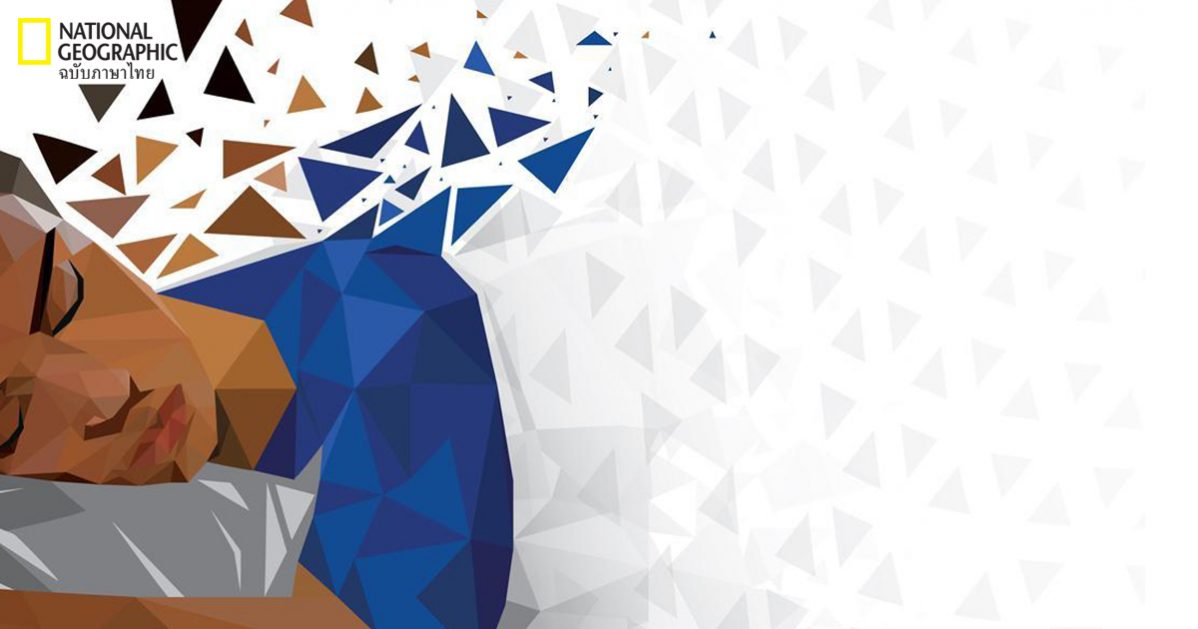 การพักผ่อน