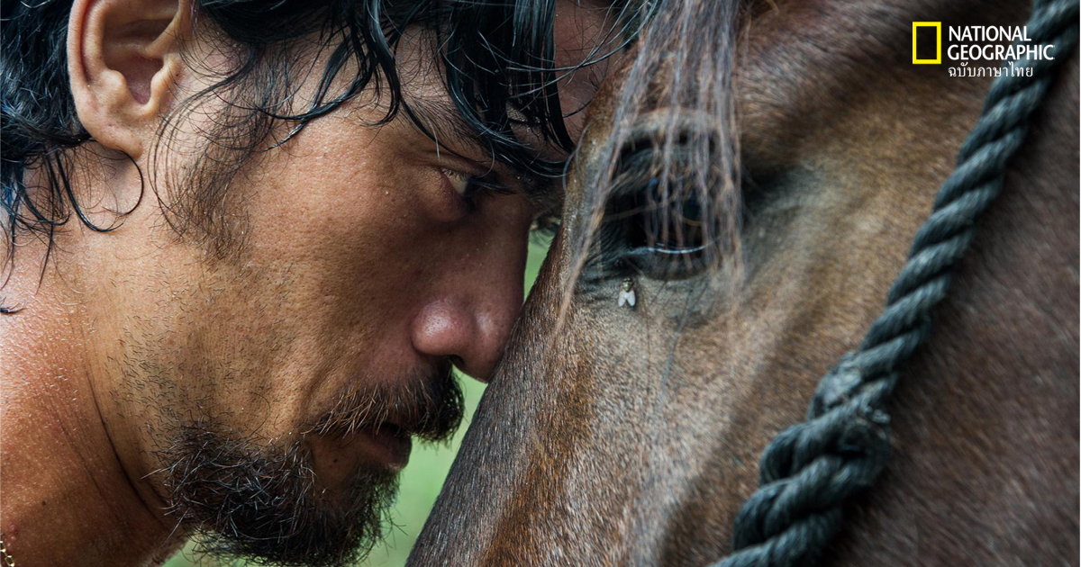 การขี่ม้า ร่องรอยทางวัฒนธรรมที่เหลืออยู่บนเกาะสวรรค์