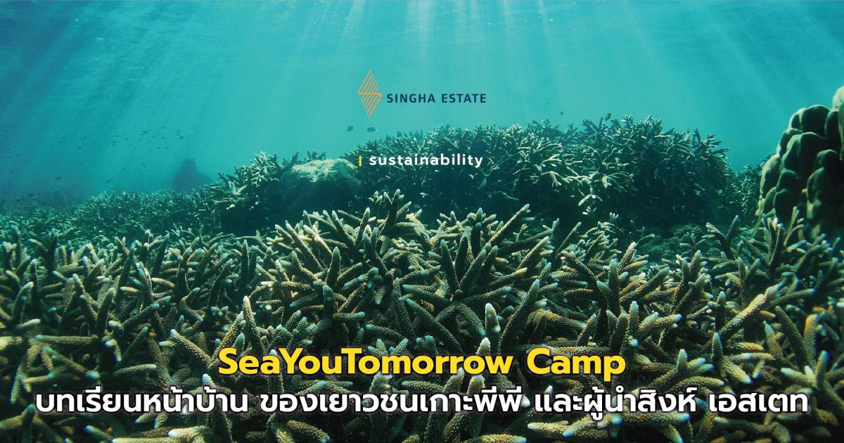 SeaYouTomorrow Camp บทเรียนหน้าบ้าน ของเยาวชนเกาะพีพี และผู้นำสิงห์ เอสเตท