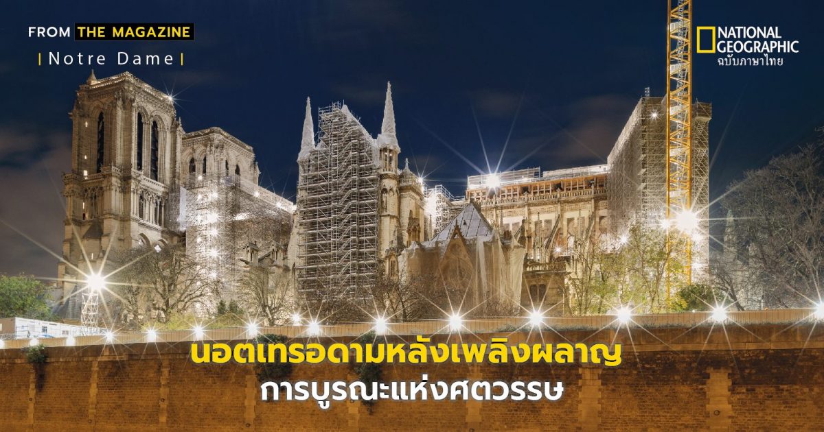 นอตเทรอดาม