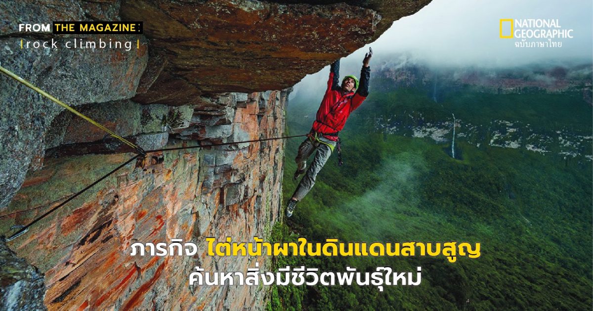 สายพันธุ์ใหม่