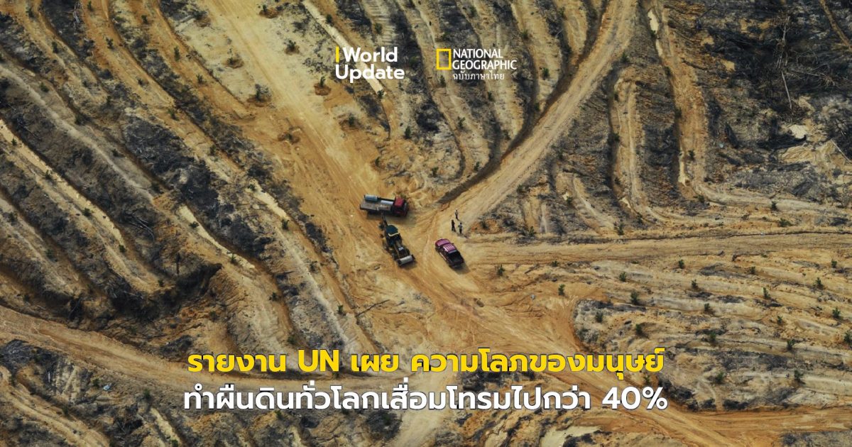 ดินเสื่อมโทรม