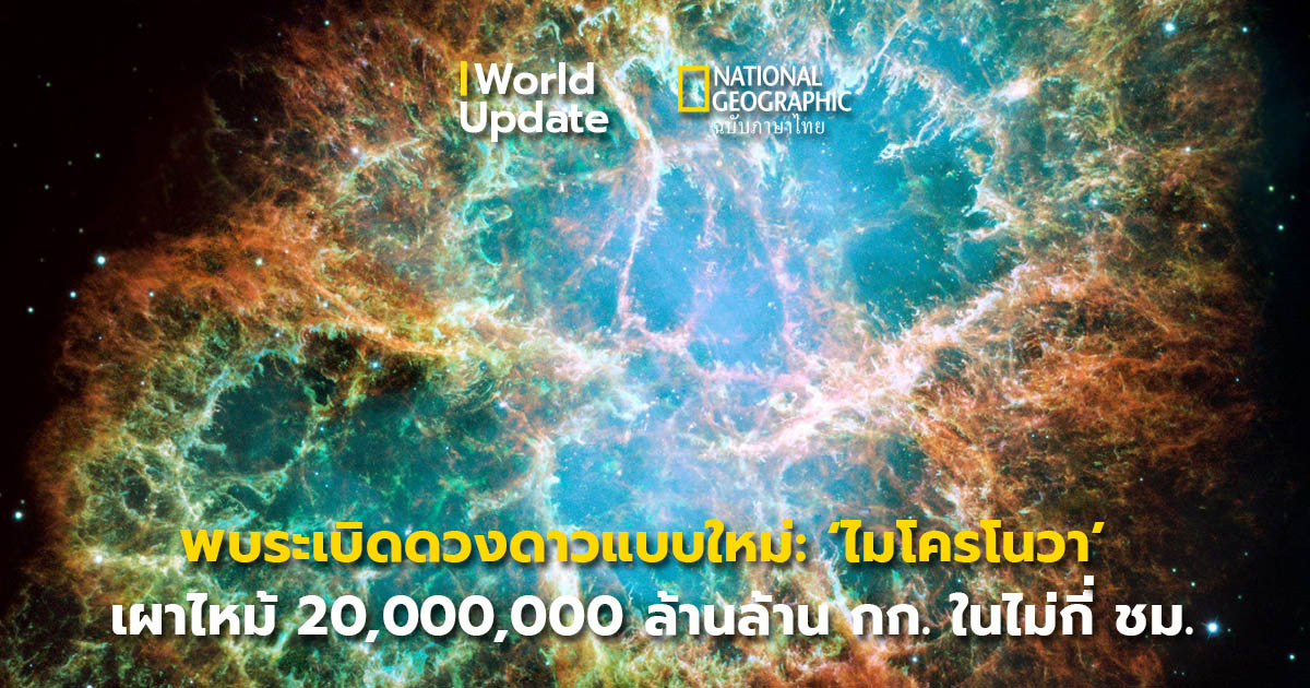 ไมโครโนวา