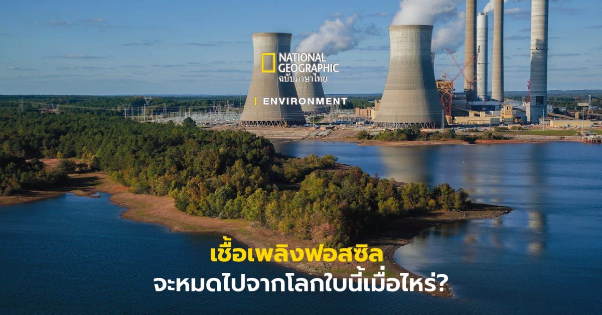 เชื้อเพลิงฟอสซิล