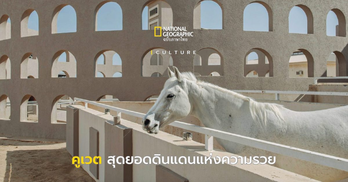 ส่องวิถีชีวิตของชาว คูเวต ดินแดนแห่งความร่ำรวยสุดขั้ว