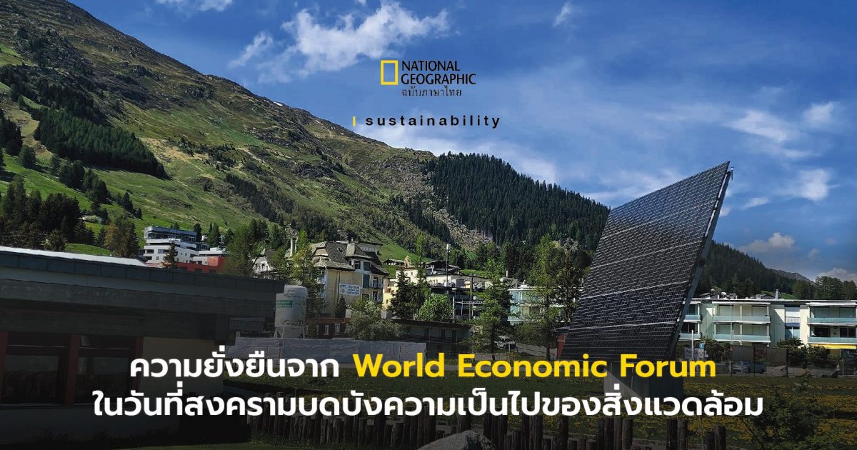 World Economic Forum กับความยั่งยืน ในวันที่สงครามบดบังความเป็นไปของสิ่งแวดล้อม