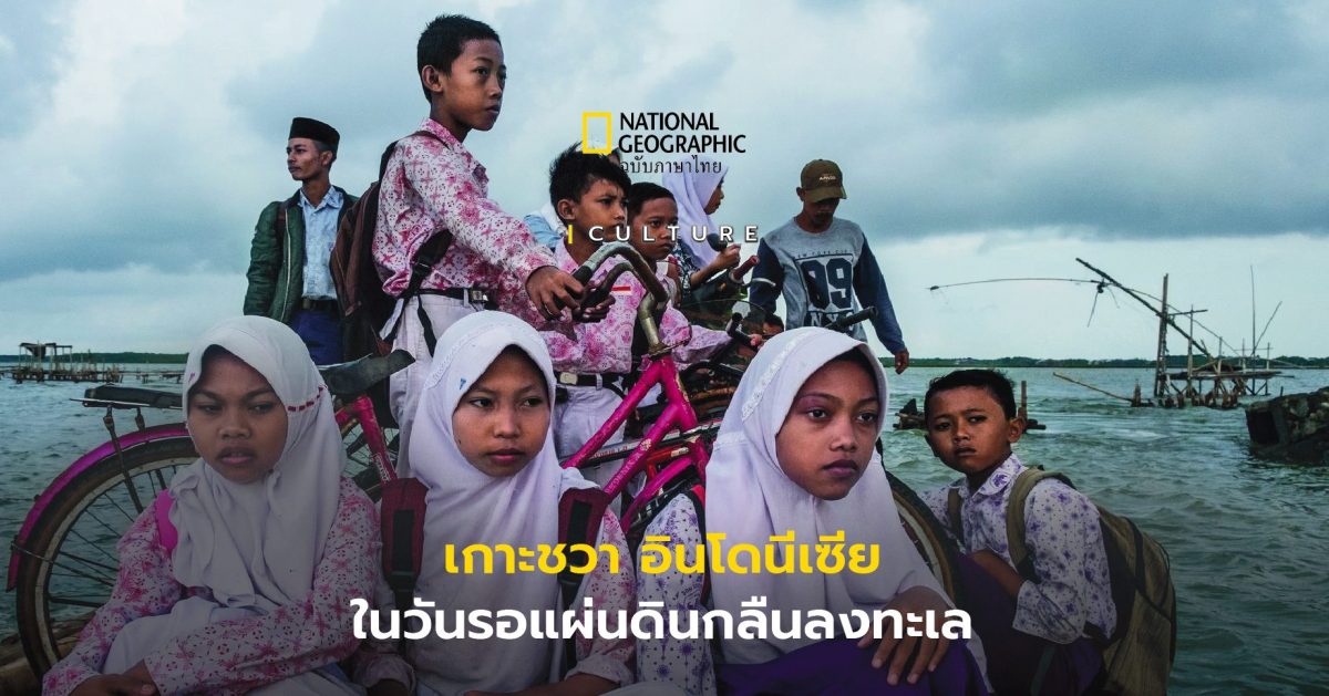 เกาะชวา อินโดนีเซีย กับชะตากรรมแผ่นดินจมทะเล