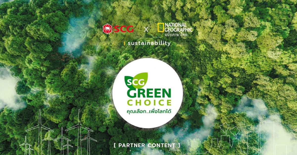 ป่าสีเขียว ยั่งยืน