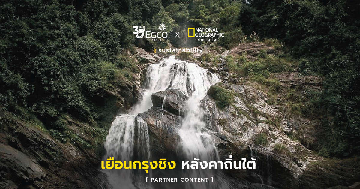 ตามหาความงามที่ส่งเสียงได้  ใจกลางป่าฝนเขตร้อน