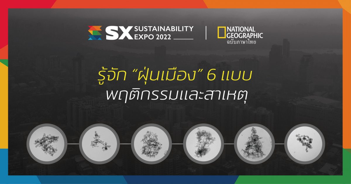 ฝุ่น กรุงเทพ